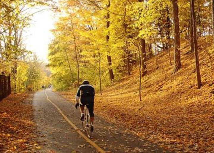 Someone riding a bike in autumn